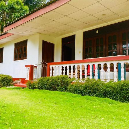 Misty Mount Homestay Ella Ngoại thất bức ảnh